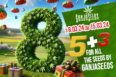 Celebrate Spring with GanjaSeeds! Celebrate Spring with GanjaSeeds!